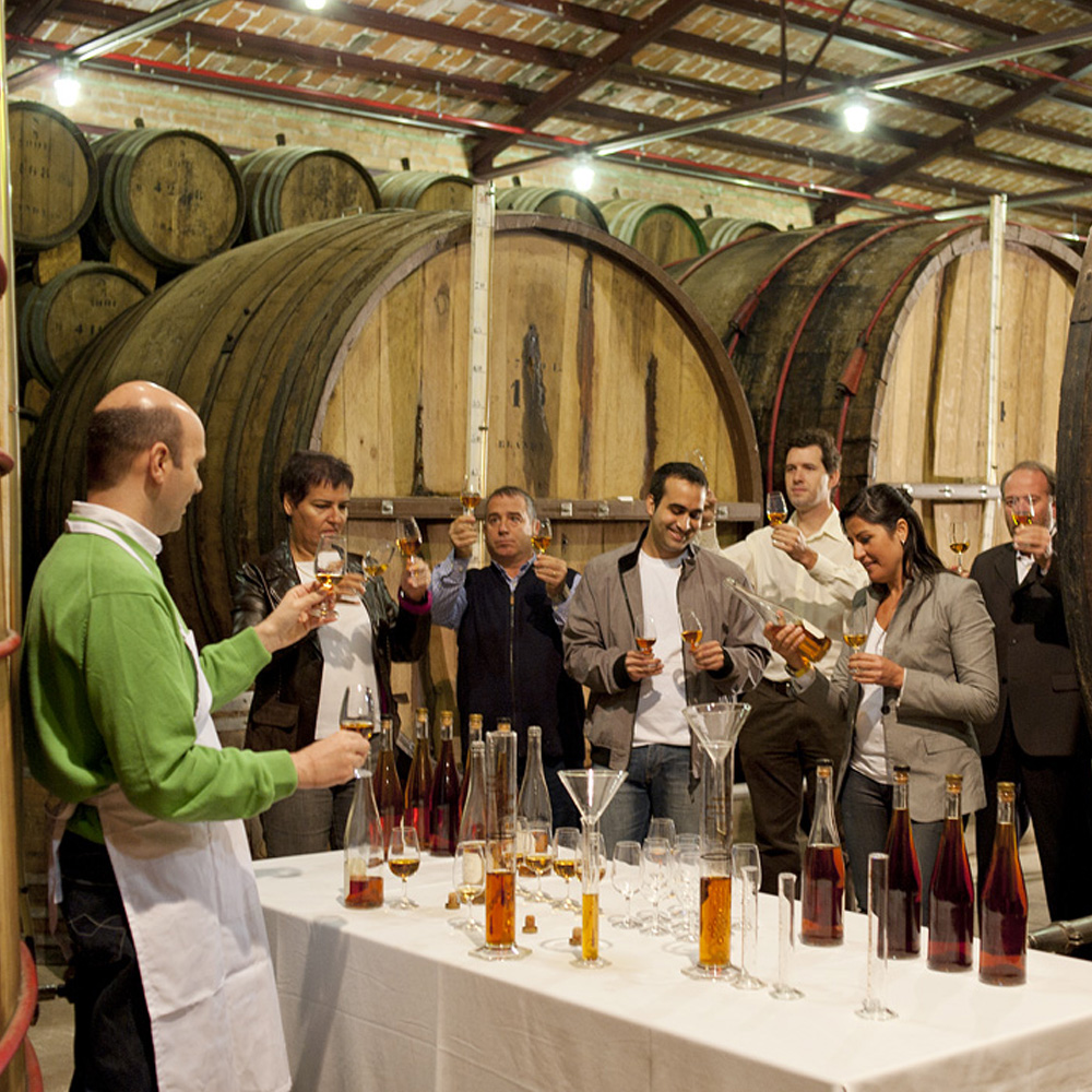 Bodegas Torres, premio a la «Experiencia turística más innovadora» a los Wine Tourism Awards | Barcelona Shopping City
