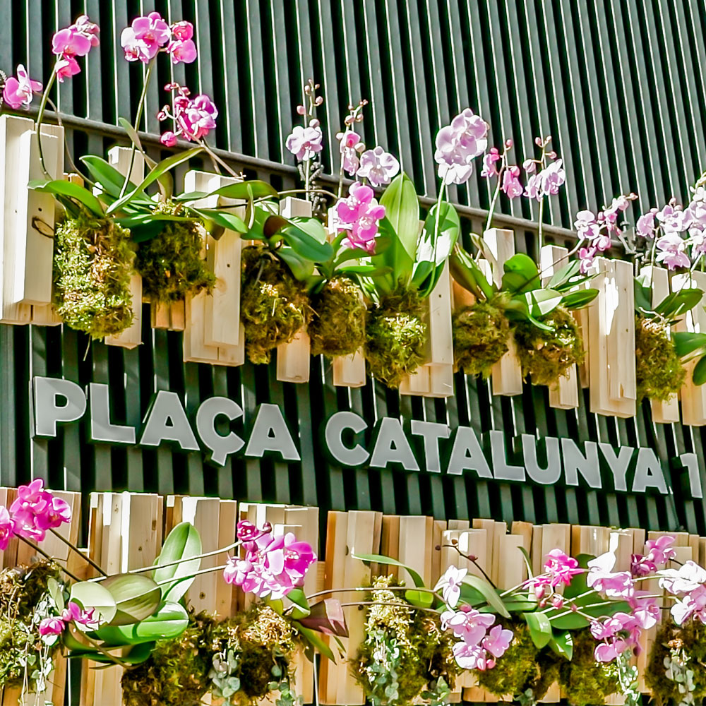 Fiestas del Roser en La Rambla de Barcelona | Barcelona Shopping City